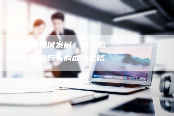 揭秘电商如何发展:从初始阶段到行业巨头的成功之路-链接买卖平台