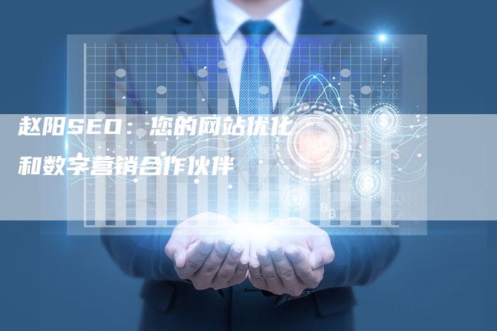 赵阳SEO：您的网站优化和数字营销合作伙伴