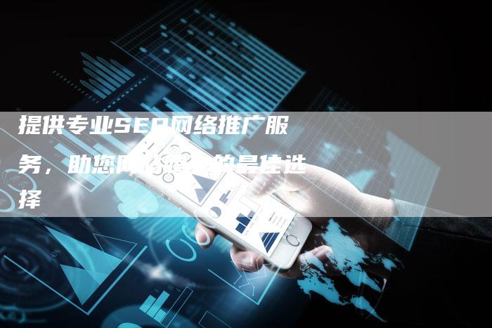 提供专业SEO网络推广服务，助您网站腾飞的最佳选择