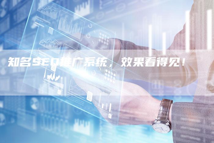 知名SEO推广系统,效果看得见!-链接买卖平台