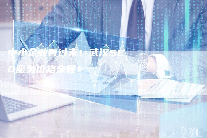 中小企业看过来!武汉SEO服务价格亲民!-链接买卖平台