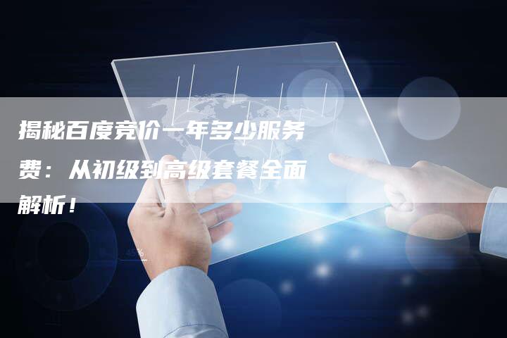 揭秘百度竞价一年多少服务费：从初级到高级套餐全面解析！