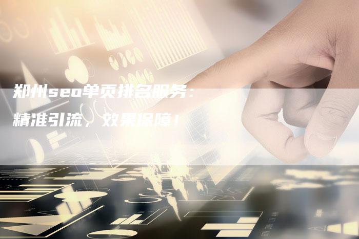 郑州seo单页排名服务：精准引流，效果保障！