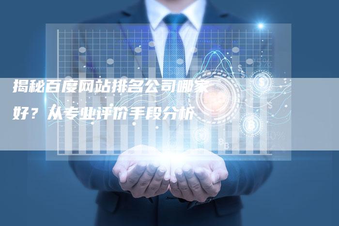 揭秘百度网站排名公司哪家好？从专业评价手段分析