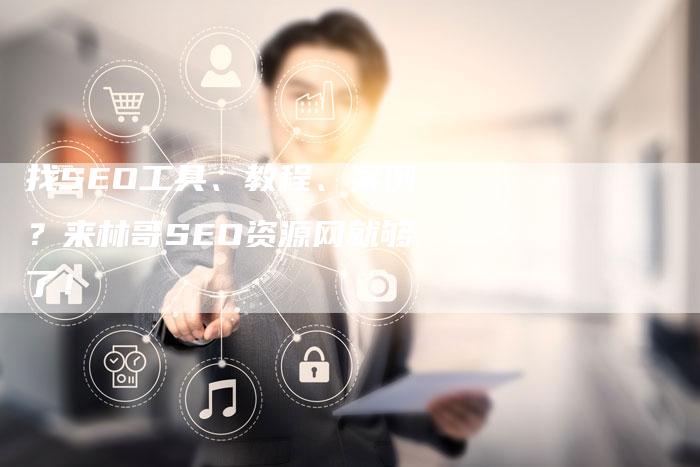 找SEO工具、教程、案例?来林哥SEO资源网就够了!-链接买卖平台