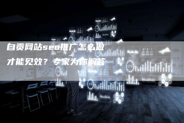 自贡网站seo推广怎么做才能见效?专家为你解答-链接买卖平台