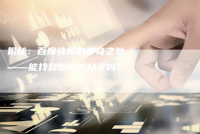 揭秘:百度快照的神奇之处——能找到删掉的帖子吗?-链接买卖平台