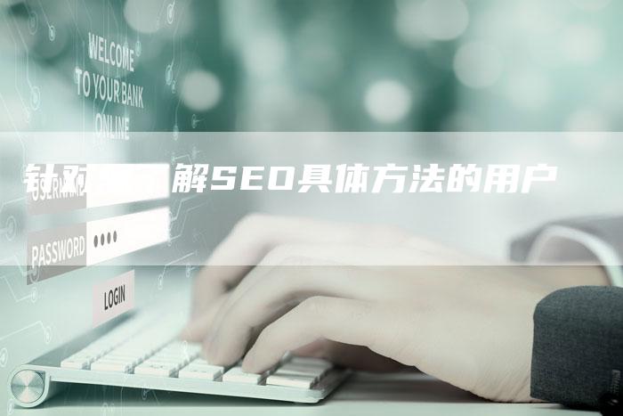 针对想了解SEO具体方法的用户-链接买卖平台