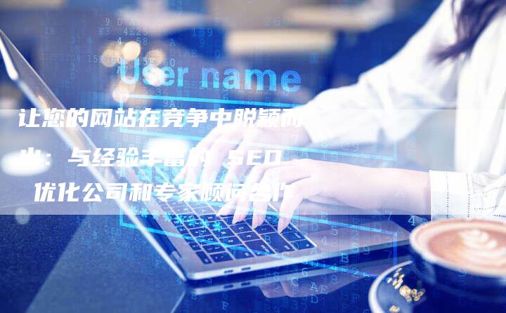 让您的网站在竞争中脱颖而出:与经验丰富的 SEO 优化公司和专家顾问合作-链接买卖平台