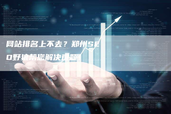网站排名上不去?郑州SEO野狼帮您解决难题!-链接买卖平台