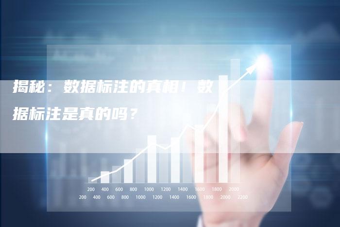 揭秘:数据标注的真相!数据标注是真的吗?-链接买卖平台