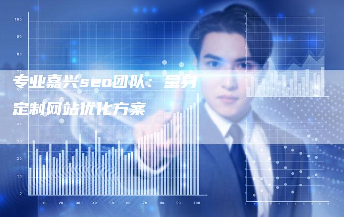 专业嘉兴seo团队：量身定制网站优化方案