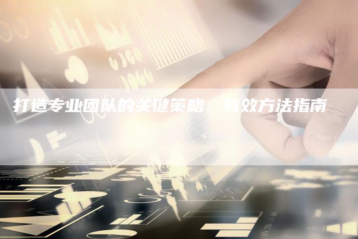 打造专业团队的关键策略:有效方法指南-链接买卖平台