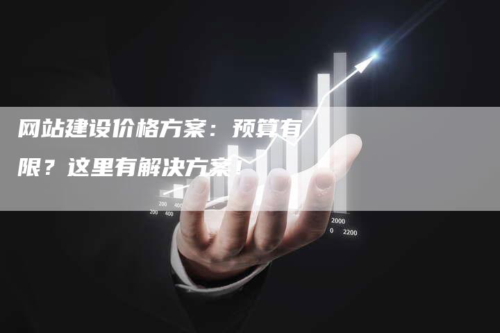 网站建设价格方案:预算有限?这里有解决方案!-链接买卖平台