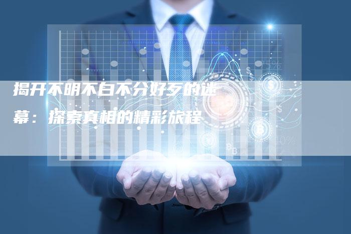 揭开不明不白不分好歹的迷幕：探索真相的精彩旅程