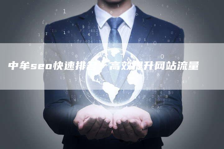 中牟seo快速排名：高效提升网站流量