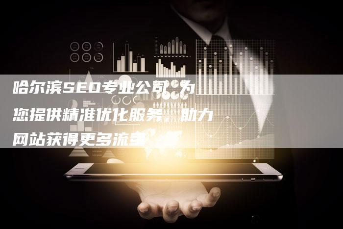 哈尔滨SEO专业公司 为您提供精准优化服务，助力网站获得更多流量