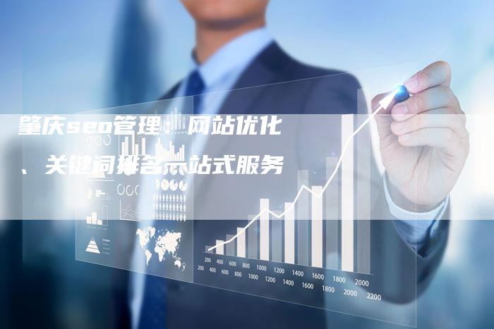 肇庆seo管理：网站优化、关键词排名一站式服务