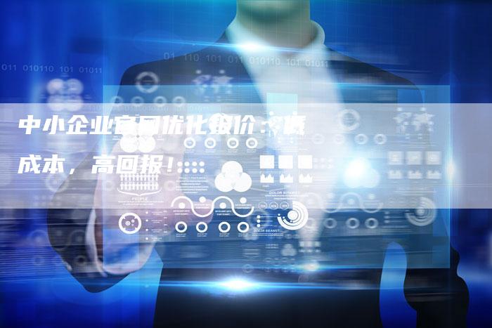 中小企业官网优化报价：低成本，高回报！
