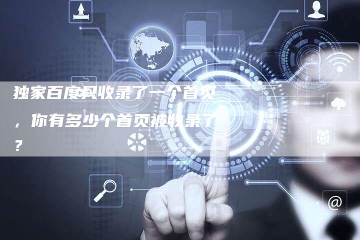 独家百度只收录了一个首页,你有多少个首页被收录了?-链接买卖平台