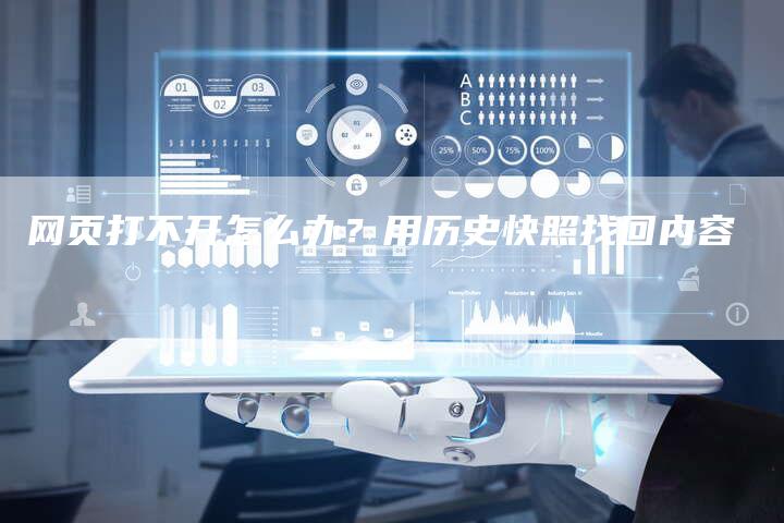 网页打不开怎么办?用历史快照找回内容-链接买卖平台