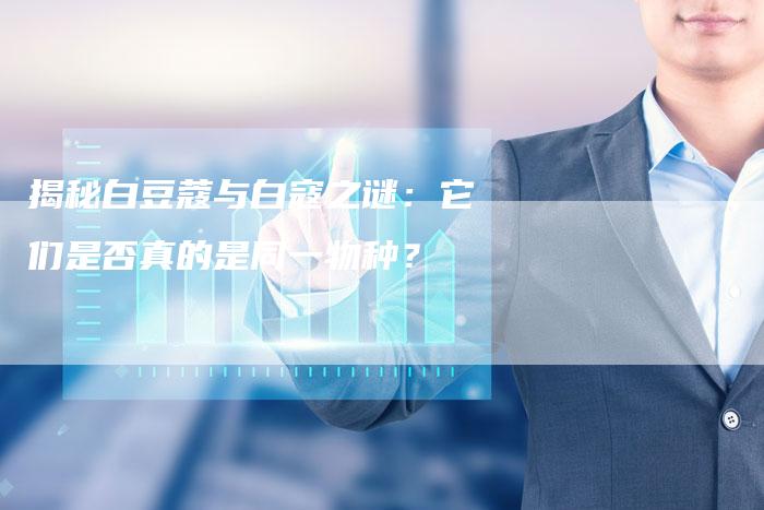 揭秘白豆蔻与白寇之谜:它们是否真的是同一物种?-链接买卖平台