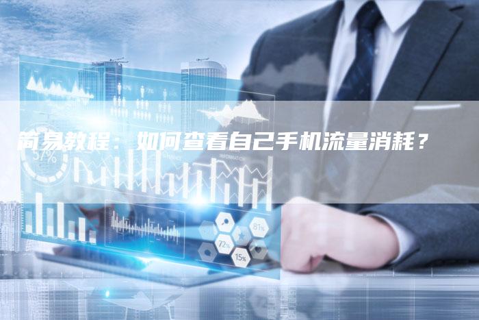 简易教程:如何查看自己手机流量消耗?-链接买卖平台
