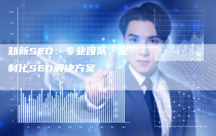 知新SEO:专业团队,定制化SEO解决方案-链接买卖平台