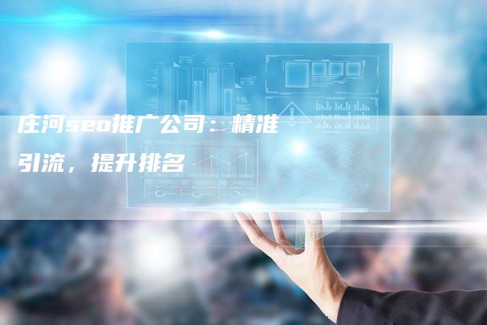 庄河seo推广公司：精准引流，提升排名