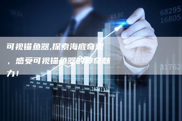 可视锚鱼器,探索海底奇观,感受可视锚鱼器的神奇魅力!-链接买卖平台
