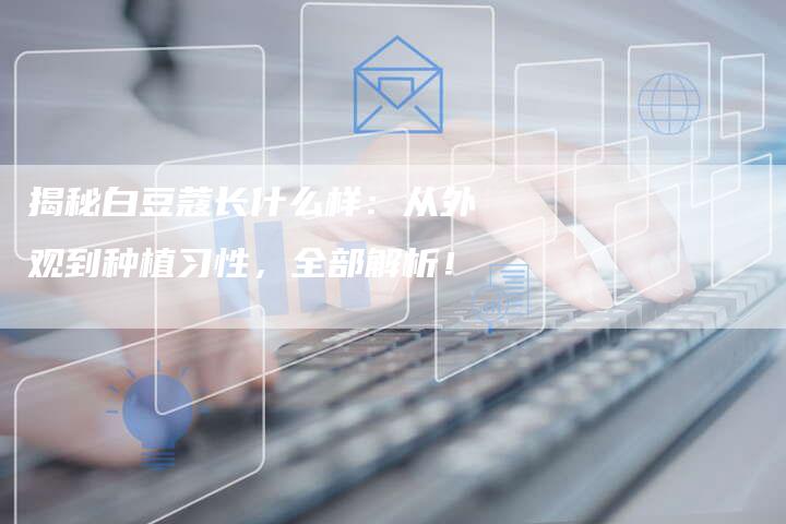 揭秘白豆蔻长什么样:从外观到种植习性,全部解析!-链接买卖平台