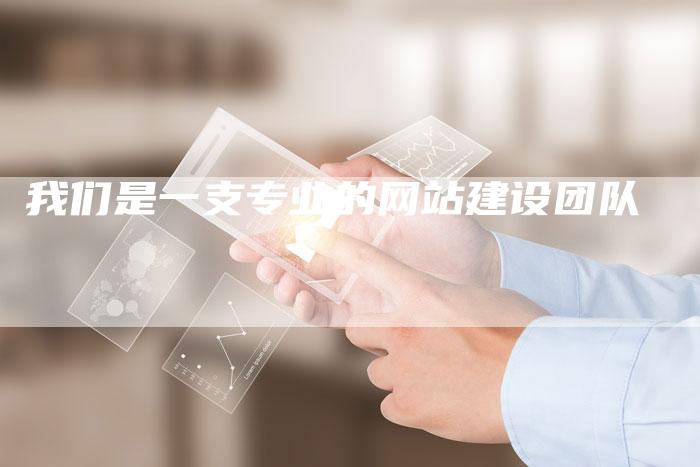 我们是一支专业的网站建设团队