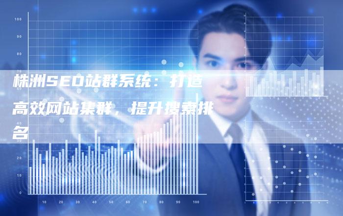 株洲SEO站群系统：打造高效网站集群，提升搜索排名