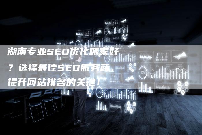 湖南专业SEO优化哪家好？选择最佳SEO服务商，提升网站排名的关键！