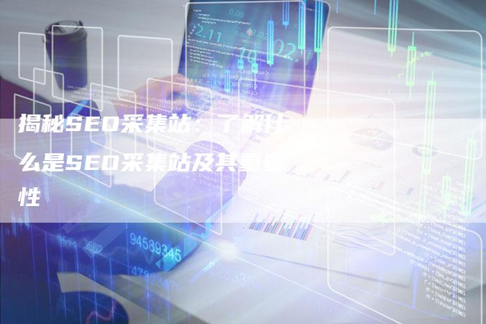 揭秘SEO采集站:了解什么是SEO采集站及其重要性-链接买卖平台
